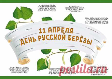 Люблю берёзу русскую,
То светлую, то грустную,
В белёном сарафанчике,
С платочками в карманчиках,
С красивыми застёжками,
С зелёными серёжками.