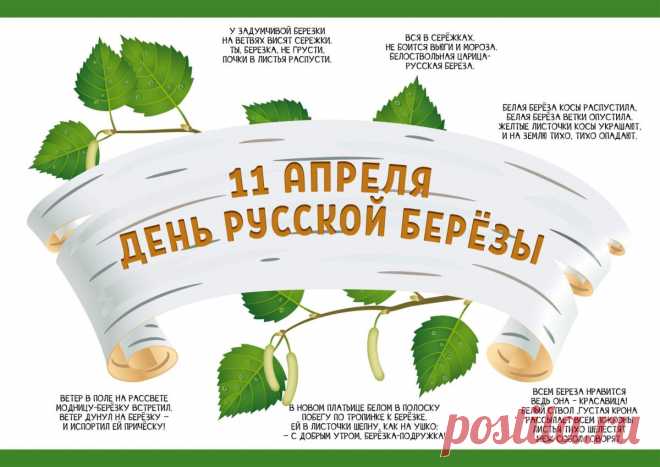 Люблю берёзу русскую,
То светлую, то грустную,
В белёном сарафанчике,
С платочками в карманчиках,
С красивыми застёжками,
С зелёными серёжками.