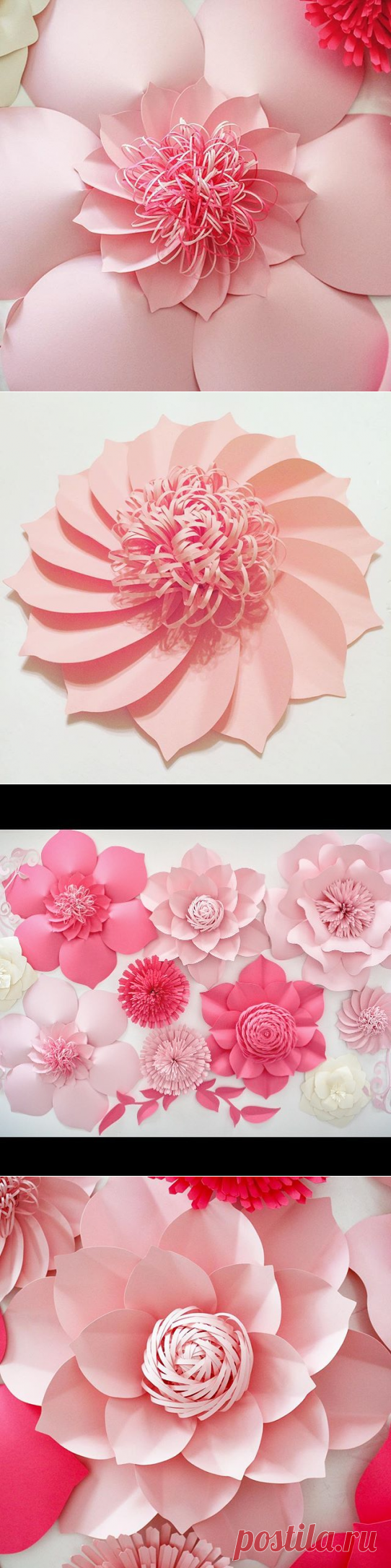 Paper Flowers 🌸 (@apaperevent) • Instagram photos and videos