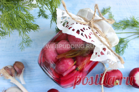 Маринованный редис на зиму | Как приготовить на Webpudding.ru