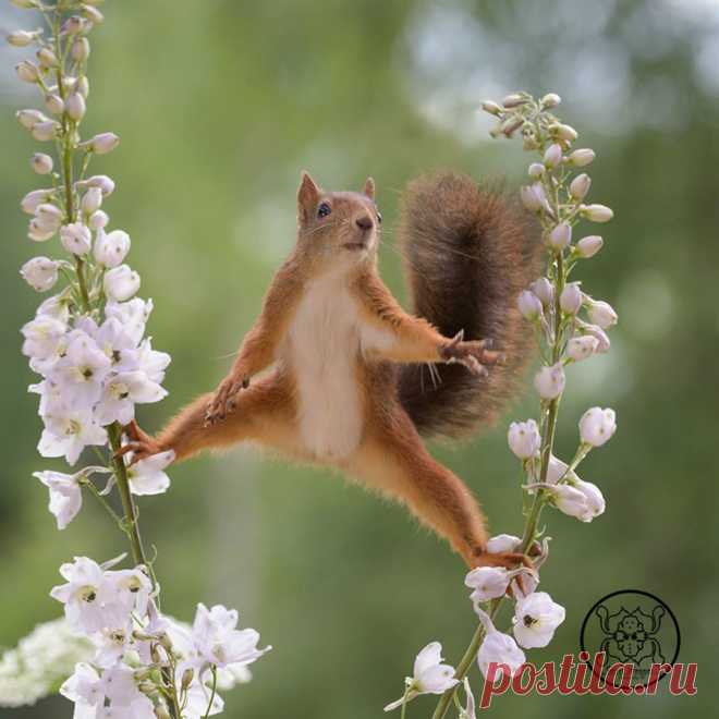 Мой Мир@Mail.Ru