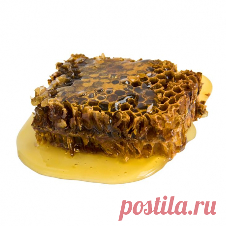 Уникальные свойства прополиса
