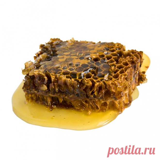Уникальные свойства прополиса