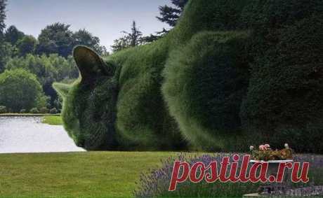 Мой Мир@Mail.Ru
