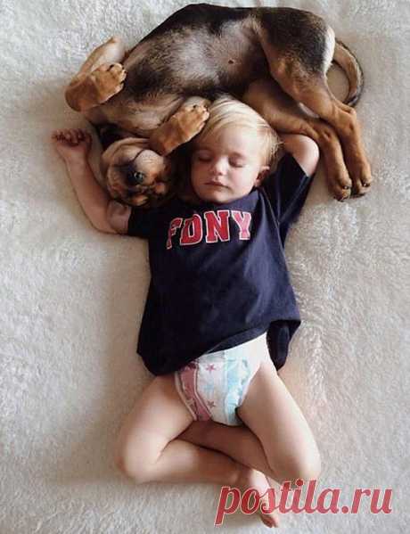 Очаровательная фотосессия спящего ребенка и щенка. | Четвероногий юмор