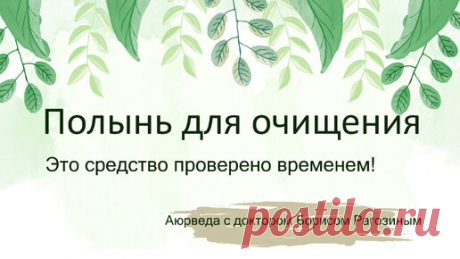 Полынь для очищения. Это средство проверено временем! | Школа аюрведы Бориса Рагозина | Дзен