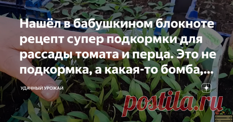 Нашёл в бабушкином блокноте рецепт супер подкормки для рассады томата и перца. Это не подкормка, а какая-то бомба, делюсь ей | Удачный урожай | Яндекс Дзен