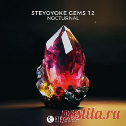 VA - Steyoyoke Gems Nocturnal 12 free download mp3 music 320kbps