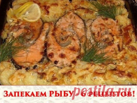 1. Обалденная вкусная запеканка картофельная с рыбкой
Получается изумительная хрустящая сырная корочка! И рыбка, и картошка в сливках со специями приобретают нежный пикантный вкус! Быстро, легко и вкусно! Рецепт для уютного семейного ужина, все будут довольны и сыты.
Ингредиенты:
- 5-6 картофеля
- 500 г рыбы
- 2 помидора
- 1 большая луковица
- сыр
- зелень
- сливки
Приготовление:
Многие соблюдают пост, поэтому сливки можно заменить рыбным бульоном. И тогда верхний слой вместо сыра можно выл