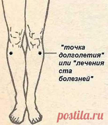 (69) Одноклассники