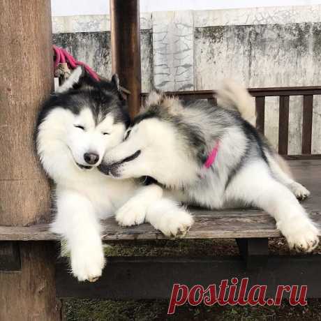 Доброго и уютного вечера, друзья!