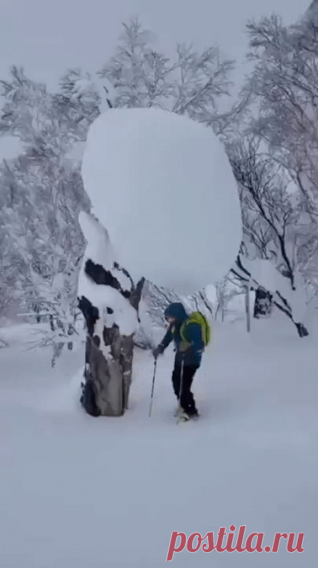 Прикольные и смешные гифки горячее