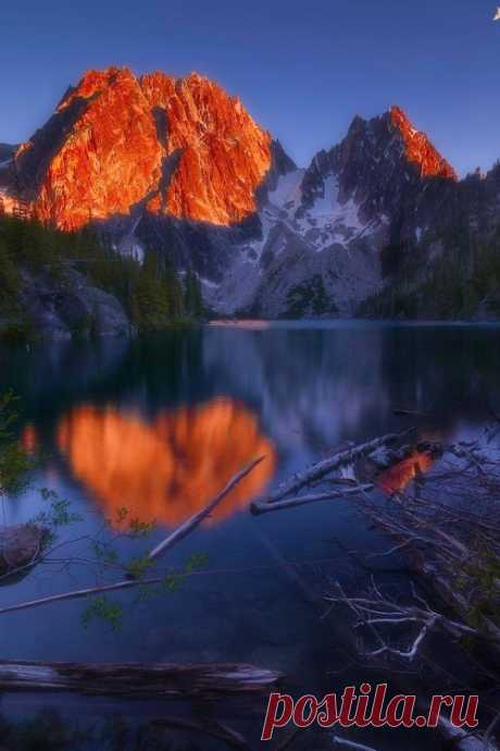 Ruby Red Chris Williams