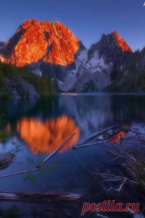 Ruby Red Chris Williams
