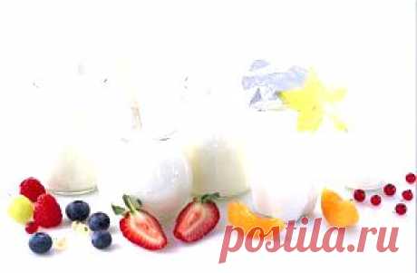 Продукты-пробиотики. Пробиотики в продуктах питания