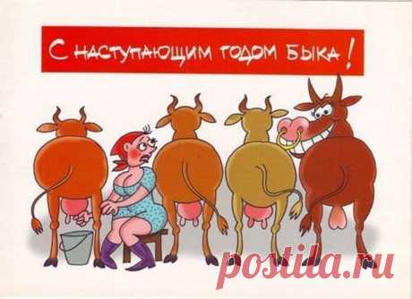 Анекдоты-30