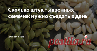 Сколько штук тыквенных семечек нужно съедать в день Многим известно о вкусовых и питательных свойствах тыквы и блюд из нее во всем их разнообразии. Однако пользу имеет не только мякоть тыквы, но и ее семечки — квинтэссенция полезных качеств любого плода. О чудодейственных свойствах тыквенных семян известно с глубокой древности, их использовали в изготовлении многих лекарств и лечебных снадобий еще во времена древних цивилизаций.
Сырые тыквенные сем