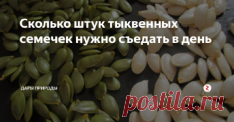Сколько штук тыквенных семечек нужно съедать в день Многим известно о вкусовых и питательных свойствах тыквы и блюд из нее во всем их разнообразии. Однако пользу имеет не только мякоть тыквы, но и ее семечки — квинтэссенция полезных качеств любого плода. О чудодейственных свойствах тыквенных семян известно с глубокой древности, их использовали в изготовлении многих лекарств и лечебных снадобий еще во времена древних цивилизаций.
Сырые тыквенные сем