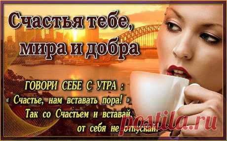 (2) Одноклассники