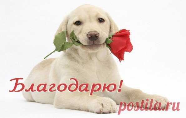 Почему нельзя говорить 
