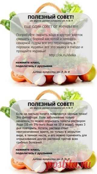 (49) Одноклассники