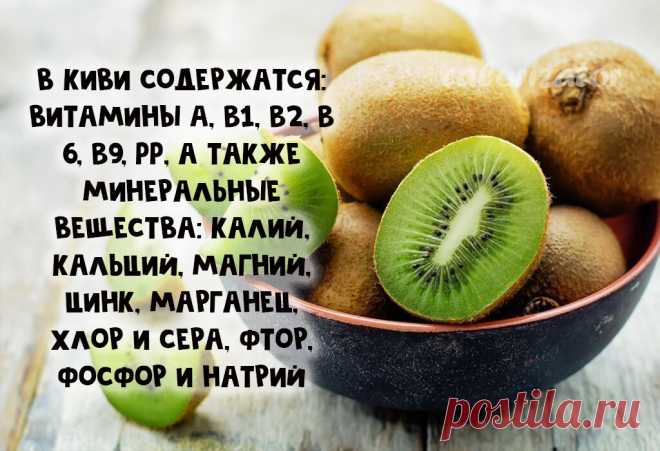 5 причин есть киви каждый день | Calorizator.ru | Дзен