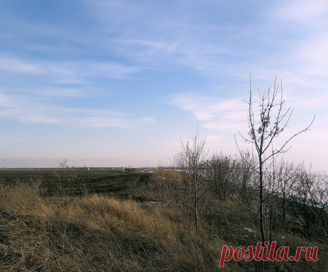 В марте... Природа и велосипед - 15 Июня 2016 - Персональный сайт