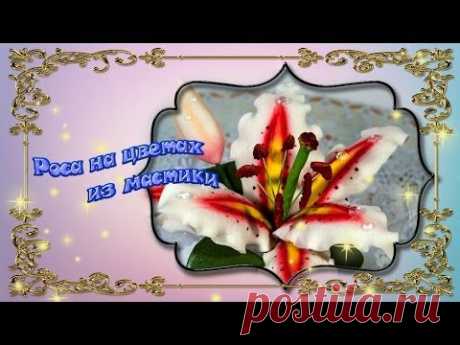 Как сделать росу на цветах. (isomalt dew)