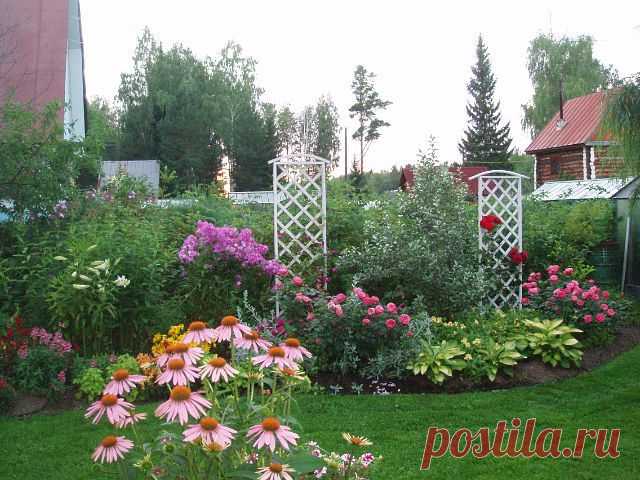 Клумба дача реальные фото