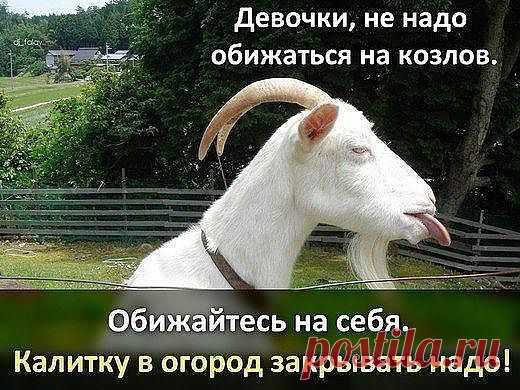 ПРАВДА ЖИЗНИ -2