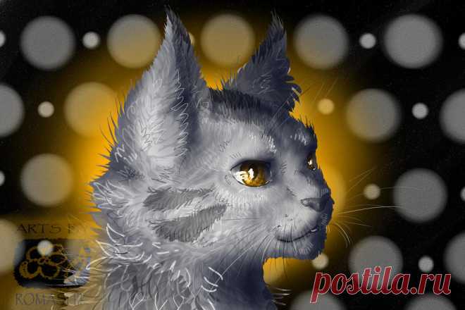 Grey-Orange Cat. Trade by Romashik-arts on DeviantArt