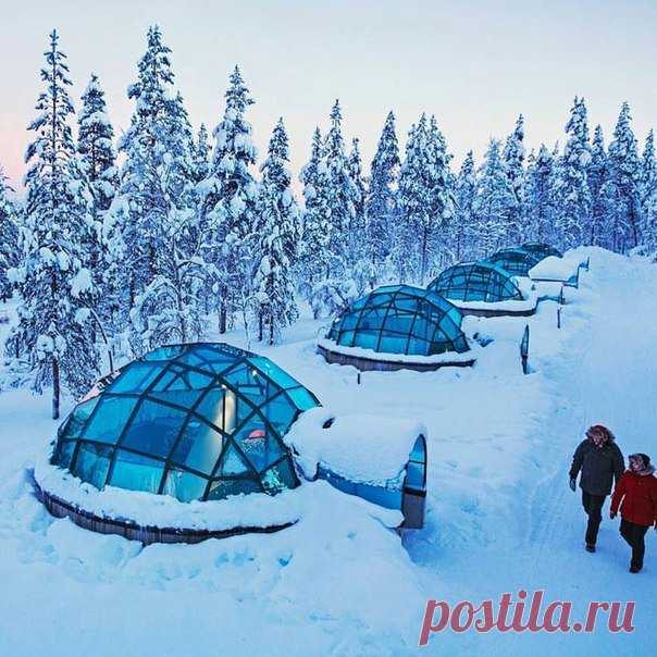 (379) Твиттер