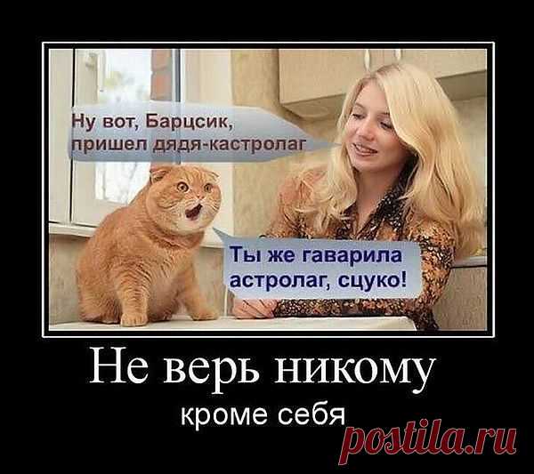...обманууууулаааа...