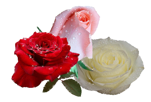 Picture background
