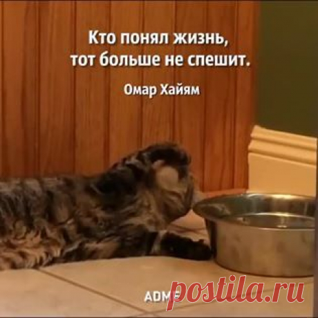 AdMe.ru