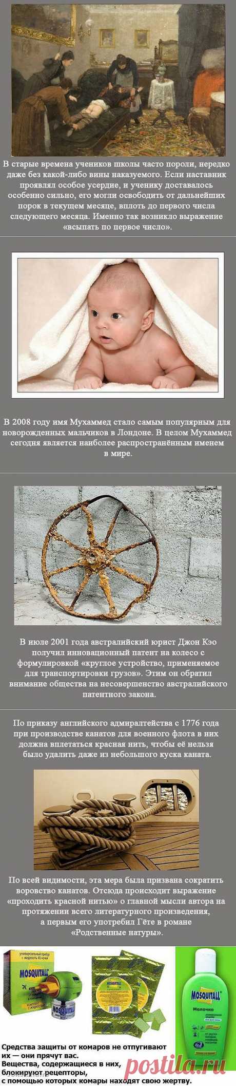 Удивительные факты