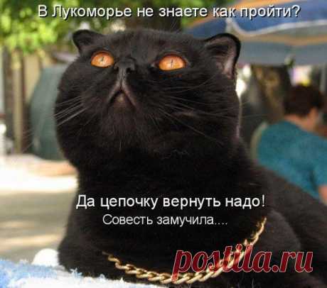 У лукоморья город чудный,
Ему уже за восемьсот.
Там днем и ночью кот приблудный
Русалок вдоль дорог пасет.
Там вовсе нет дубов зеленых,
Зато у оживленных трасс
Стоят в тени дубы в погонах
И зелень требуют от нас.
Там на журнальных на обложках
Баба-яга на курьих ножках –
Коль заплатила миллион,
Теперь она секс-эталон.
Там по двое юристы бродят
И делят власть напополам,
То песнь фальшивую заводят,
То сказки сказывают нам.
Ворюги там живут, не тужат,
Им прокуроры верно служат.