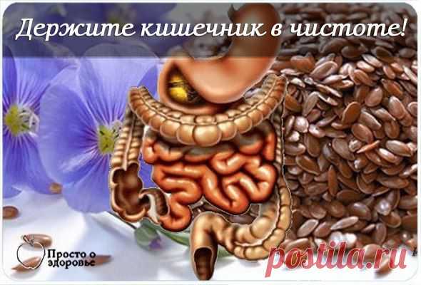 ДЕРЖИТЕ КИШЕЧНИК В ЧИСТОТЕ! | Женский журнал