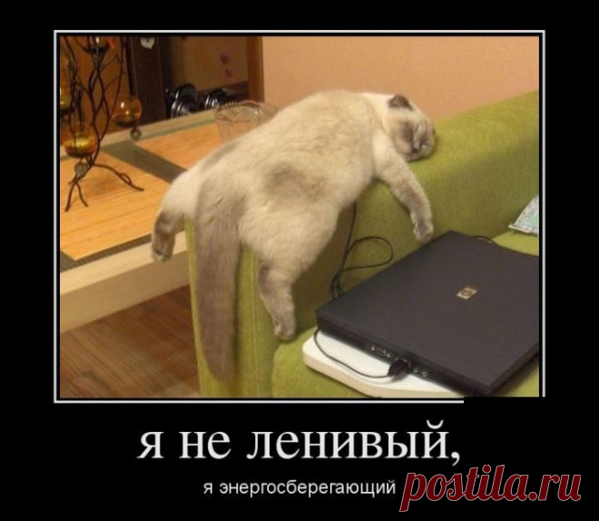 смешные демотиваторы - Ржака :-)