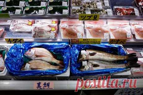 Экспорт рыбы из Японии обрушился из-за сброса воды с «Фукусимы». На фоне сброса очищенной радиоактивной воды с АЭС «Фукусима-1» экспорт рыбы из Японии в августе упал до 31,1 тысячи тонн. Стоимость экспорта сократилась на 27 процентов в месячном выражении и на 25 процентов в годовом. В августе 15 стран и территорий полностью прекратили закупку рыбной продукции в стране.