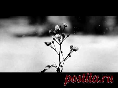 Chopin - Spring Waltz (Mariage d'Amour) [Please Read Description] - YouTube