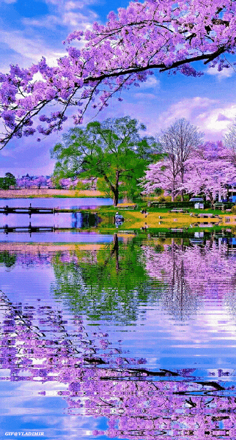 Destination place