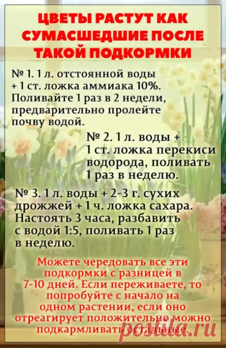Полезно знать