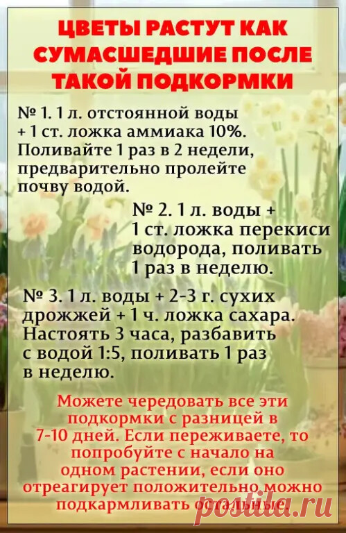 Полезно знать