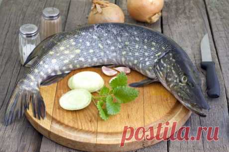 Самые вкусные рецепты приготовления щуки от Шефмаркет Существует много рецептов приготовления щуки, но  самыми  вкусными являются те, которые были приготовлены на берегу речки.
