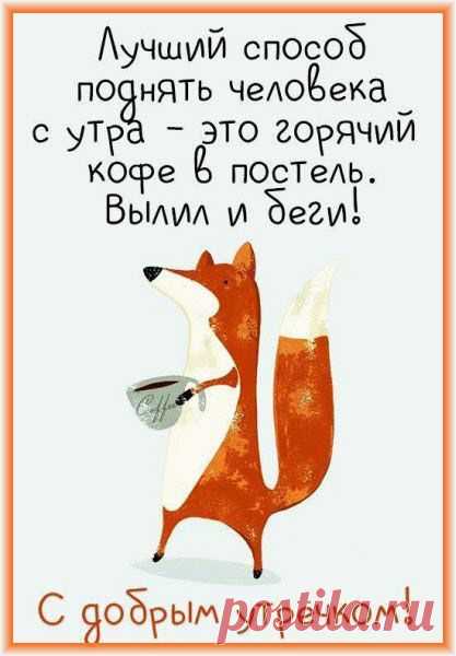 Доброе утро