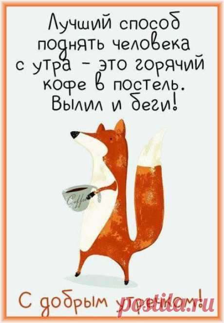 Доброе утро