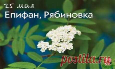 Праздники и приметы на 25 мая 2018 года Епифанов день. Народный праздник «Епифанов день» отмечается 25 мая (по старому стилю – 12 мая). Православная церковь в этот день чтит память святителя Епифания Кипрского, епископа. Другие названия праздника: «Рябиновка», «Красный кафтан», «Епифан».