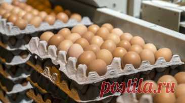 В ФАС заявили о тенденции к снижению цен на куриные яйца в России. Глава Федеральной антимонопольной службы (ФАС) Максим Шаскольский заявил о тенденции к снижению цен на куриные яйца в России. Читать далее
