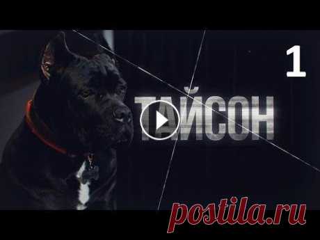 Тайсон. 1 серия (2019). Новая мелодрама, криминальный фильм, сериал новинка в 4К Тайсон. 1 серия (2019). Новая мелодрама, криминальный фильм, сериал новинка в 4К. Украинский сериал Когда среди бела дня неизвестный расстреливает Ива...